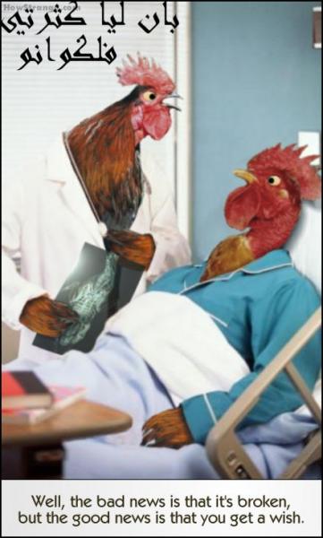 .....................